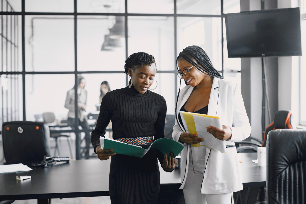 Conseil & Optimisation